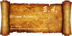 Blumm Albert névjegykártya